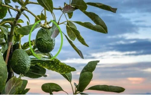 Nachhaltige Verpackungen aus Rezyklat